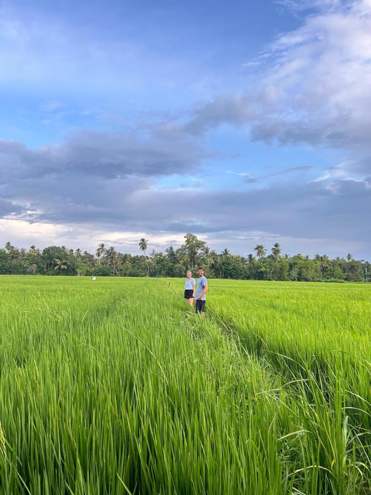 Viveka Inn Guest&Yala Safari Tissamaharama Bagian luar foto