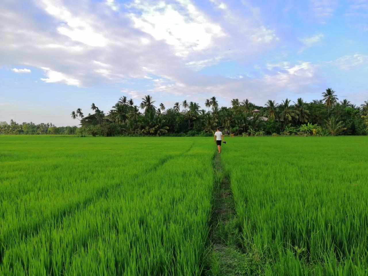 Viveka Inn Guest&Yala Safari Tissamaharama Bagian luar foto