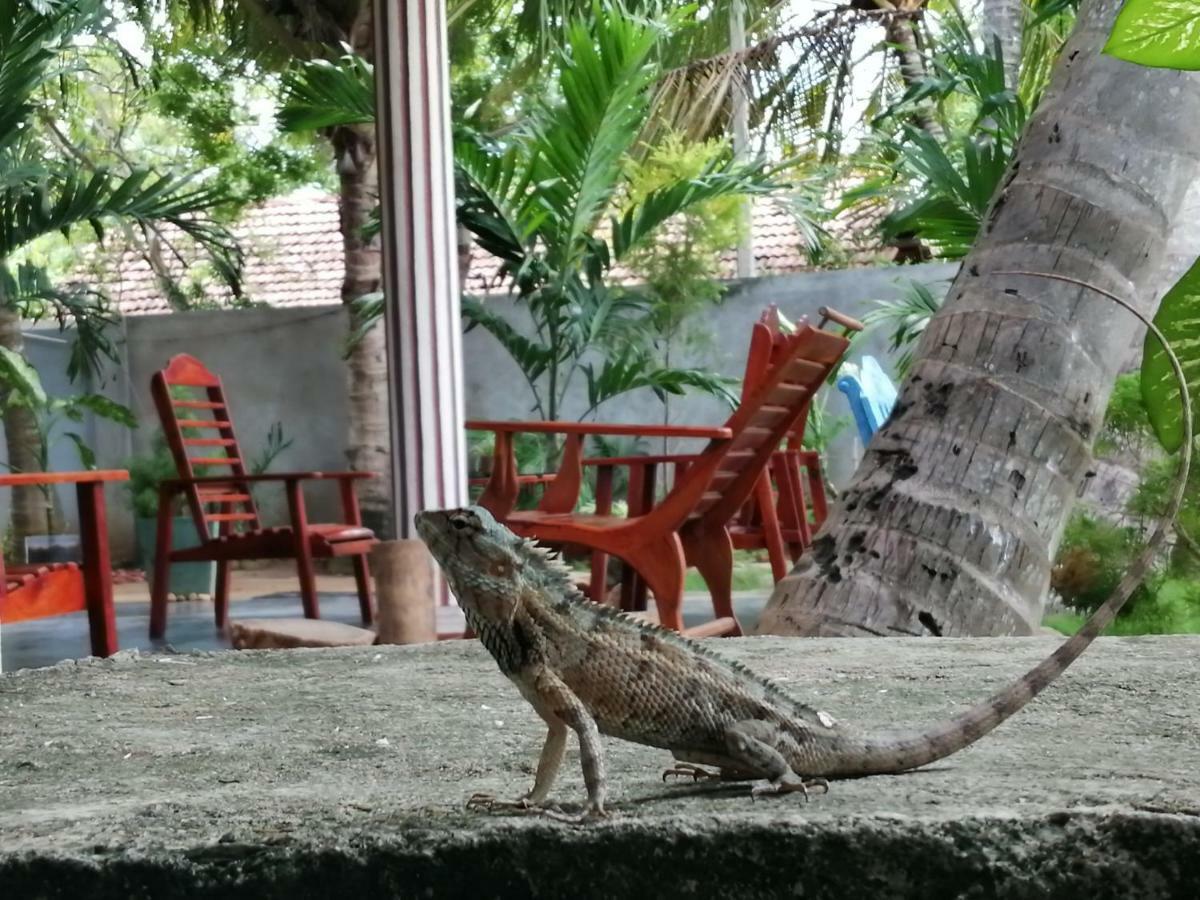 Viveka Inn Guest&Yala Safari Tissamaharama Bagian luar foto